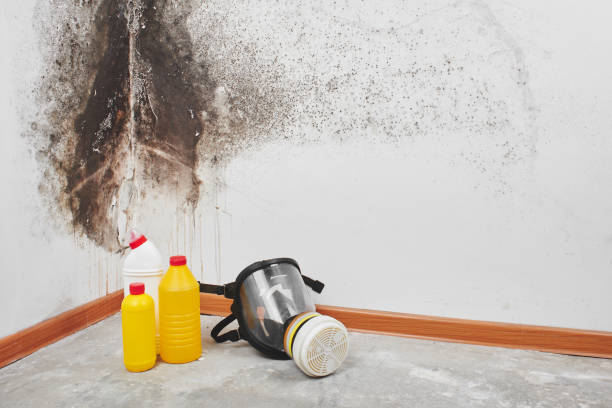 Water Damage Restoration in Athens, GA