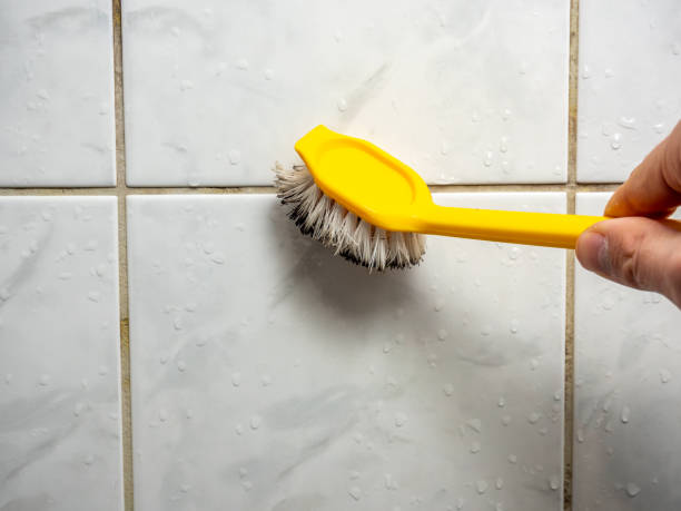 Professional Mold Removal in Athens, GA
