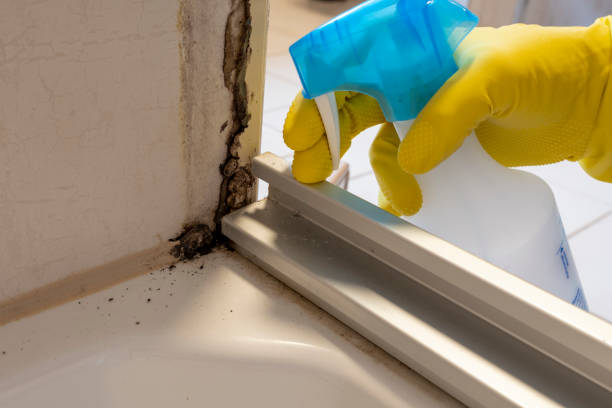 Best Professional Mold Removal  in Athens, GA