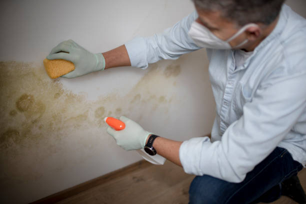 Best Mold Testing  in Athens, GA